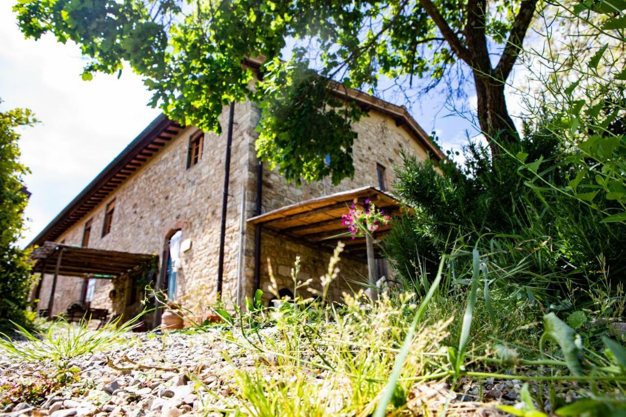 Il Vichiaccio Country House Импрунета Екстериор снимка